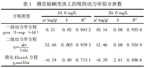 磷在蛤蜊壳体上的吸附动力学拟合参数