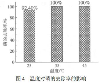 图4 温度对磷的去除率的影响