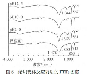 图6 蛤蜊壳体反应前后的FTIR 图谱
