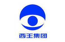西王集团